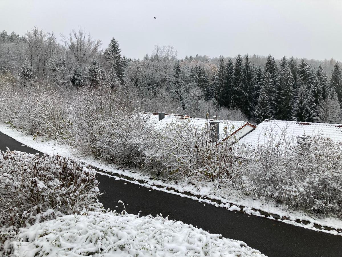 Ferienhaus Brandt Im Ferienpark Falkenstein Falkenstein  Kültér fotó